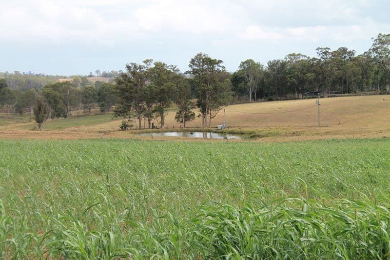 KANDANGA QLD 4570, Kandanga - Thumbnail 3