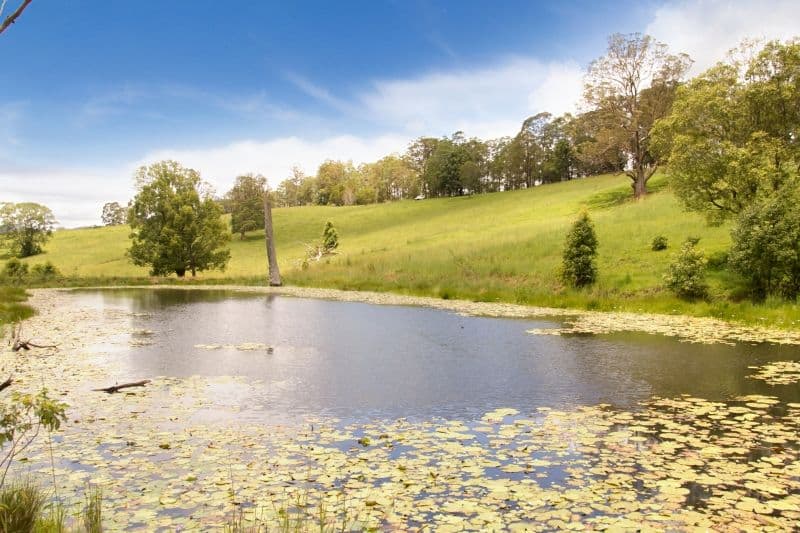 Lot 42 Stoddarts Road, TYALGUM NSW 2484, Tyalgum - Thumbnail 2