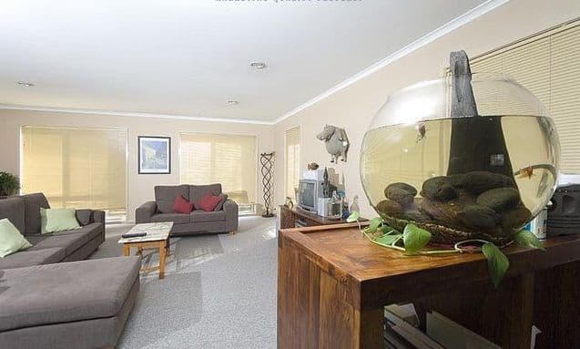 58 Tallara Parkway, NARRABUNDAH ACT 2604, Narrabundah - Thumbnail 3