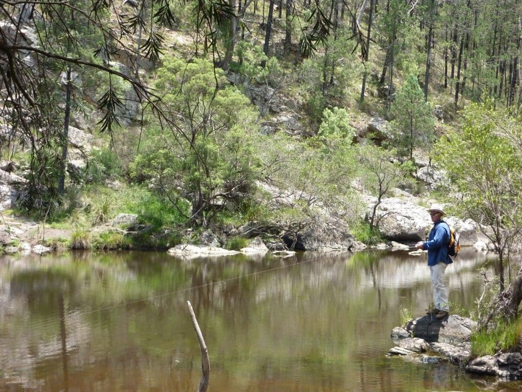 Arakoon Back Creek Road, TENTERFIELD NSW 2372, Tenterfield - Thumbnail 4