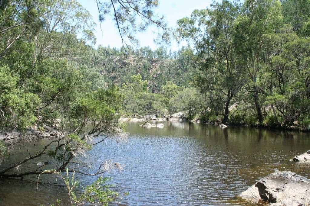 Arakoon Back Creek Road, TENTERFIELD NSW 2372, Tenterfield - Thumbnail 6