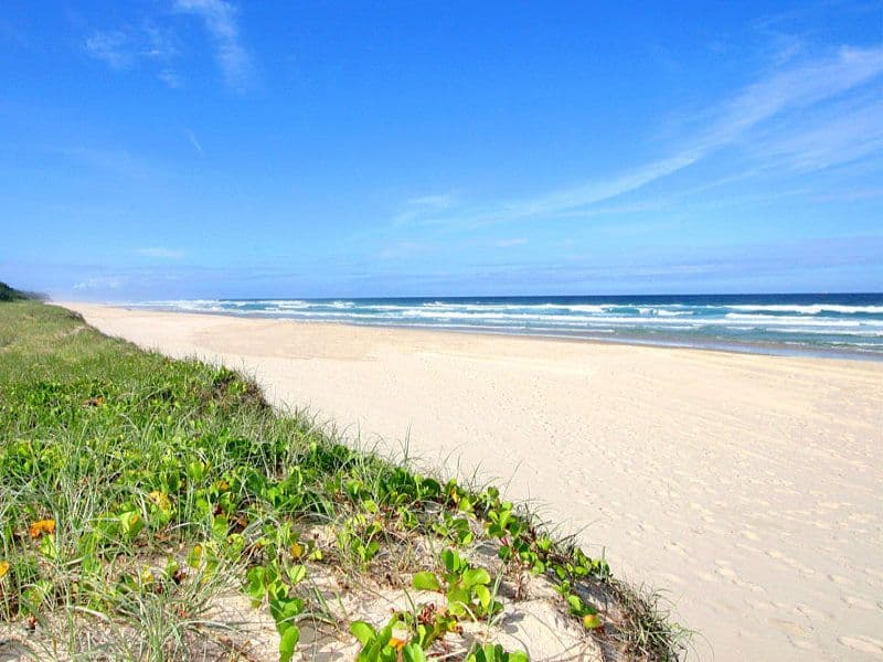26 Sailfish Way, KINGSCLIFF NSW 2487, Kingscliff - Thumbnail 3