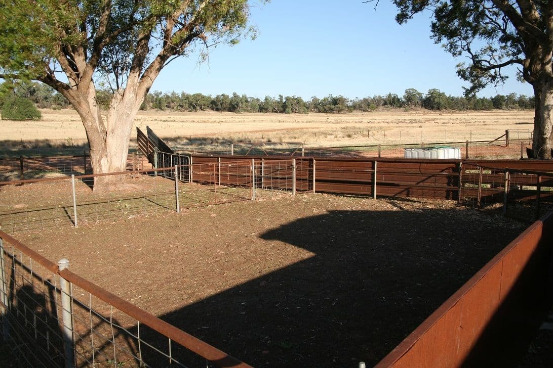 PARKES NSW 2870, Parkes - Thumbnail 7