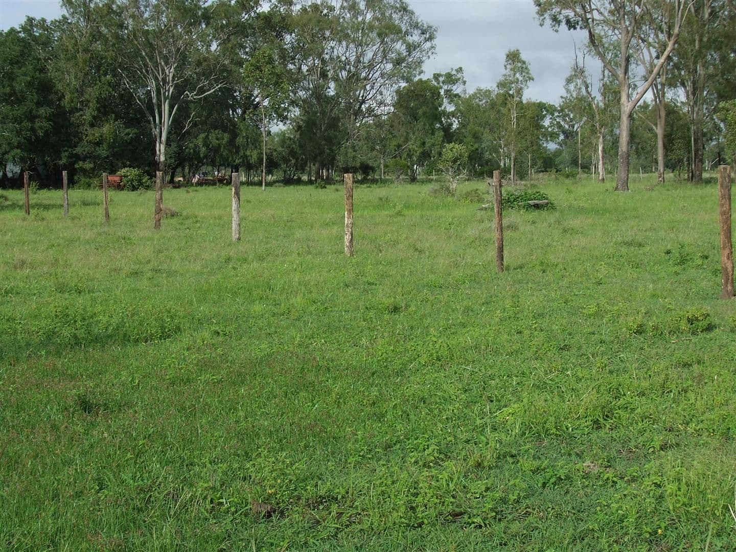 24 "Graceville" Andy Road, MORINISH QLD 4702, Morinish - Image 1