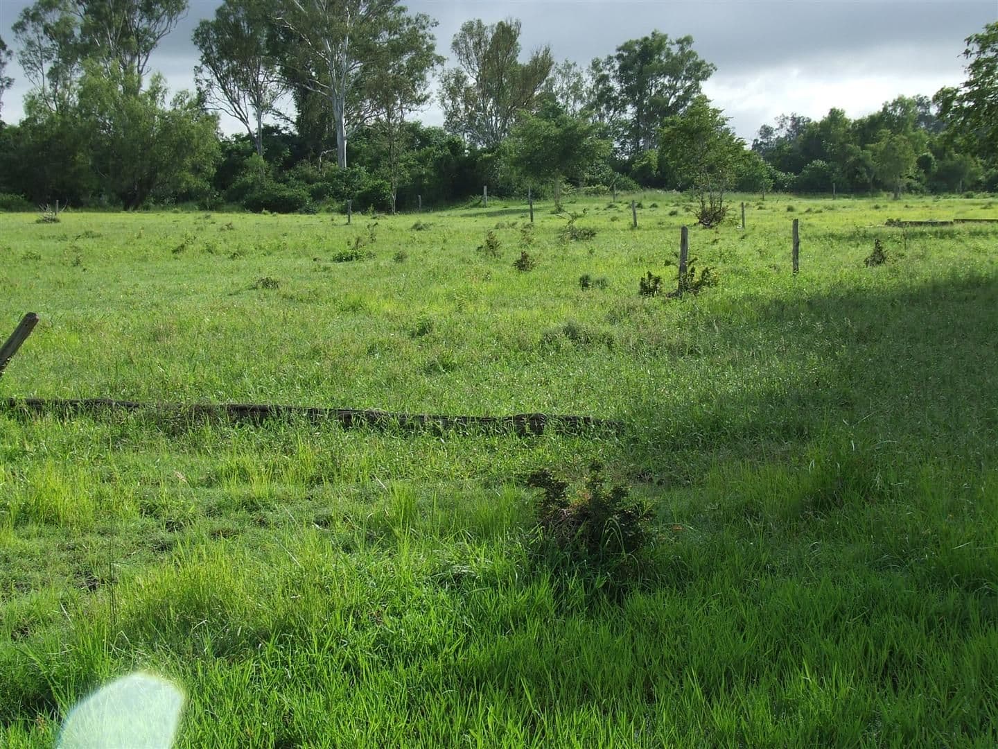 24 "Graceville" Andy Road, MORINISH QLD 4702, Morinish - Thumbnail 7
