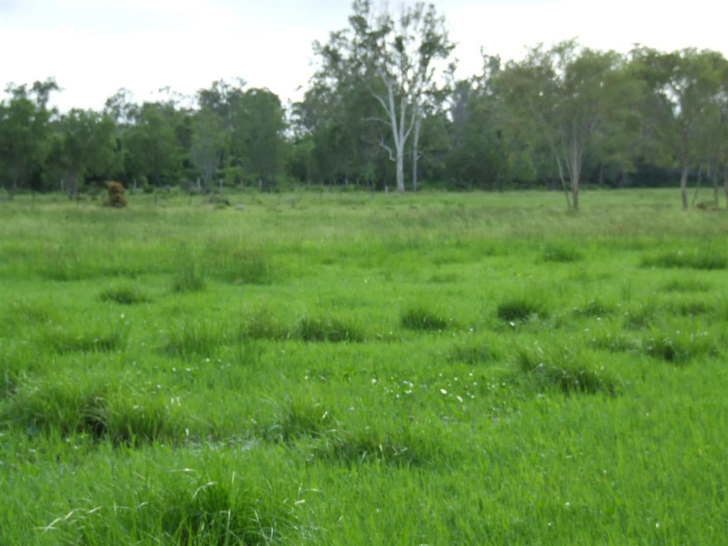 24 "Graceville" Andy Road, MORINISH QLD 4702, Morinish - Thumbnail 4