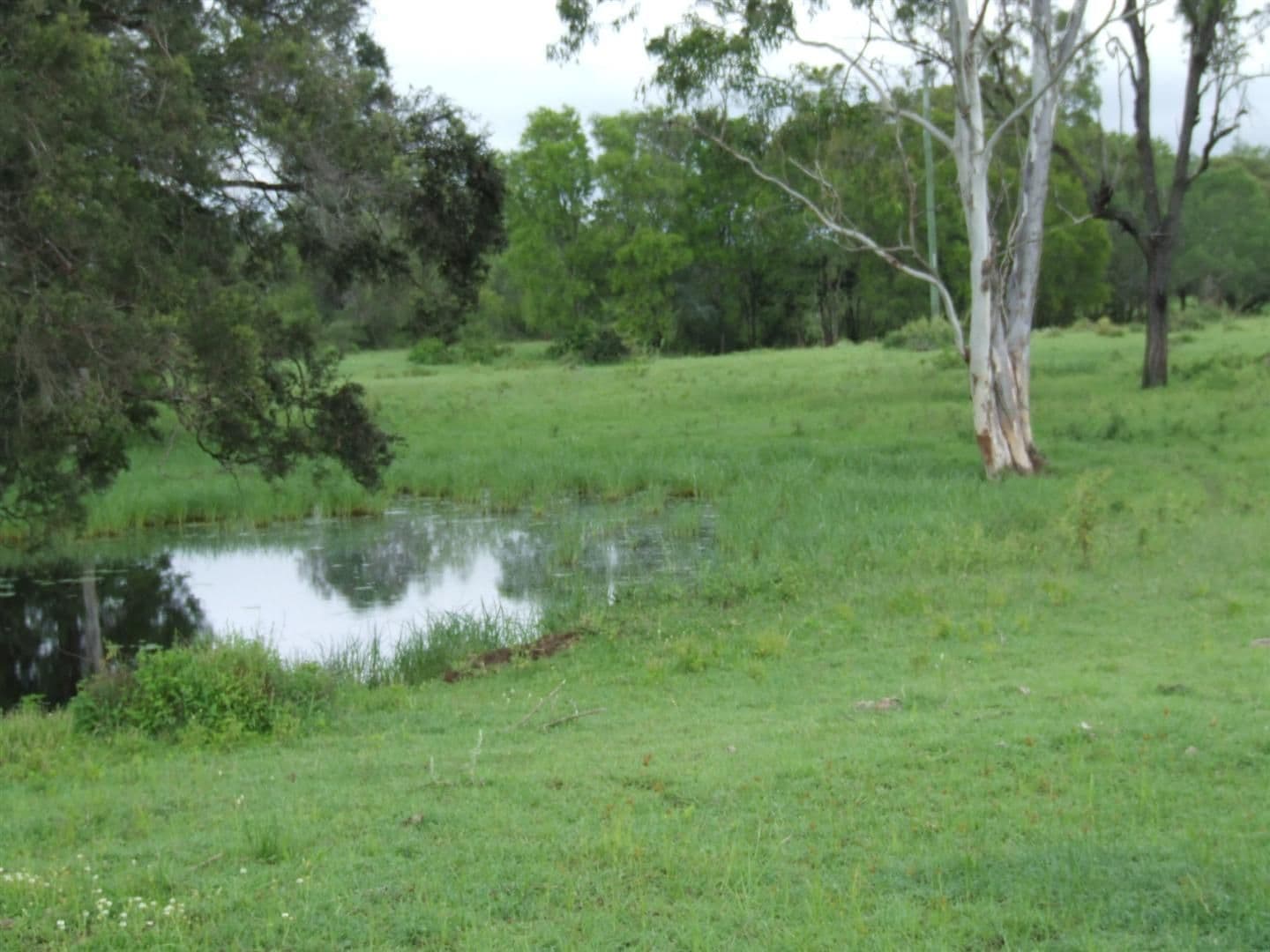 24 "Graceville" Andy Road, MORINISH QLD 4702, Morinish - Thumbnail 8