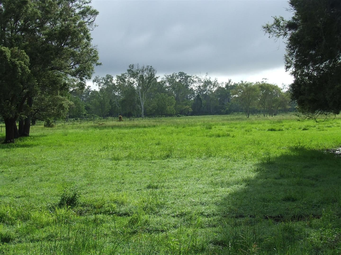24 "Graceville" Andy Road, MORINISH QLD 4702, Morinish - Thumbnail 5