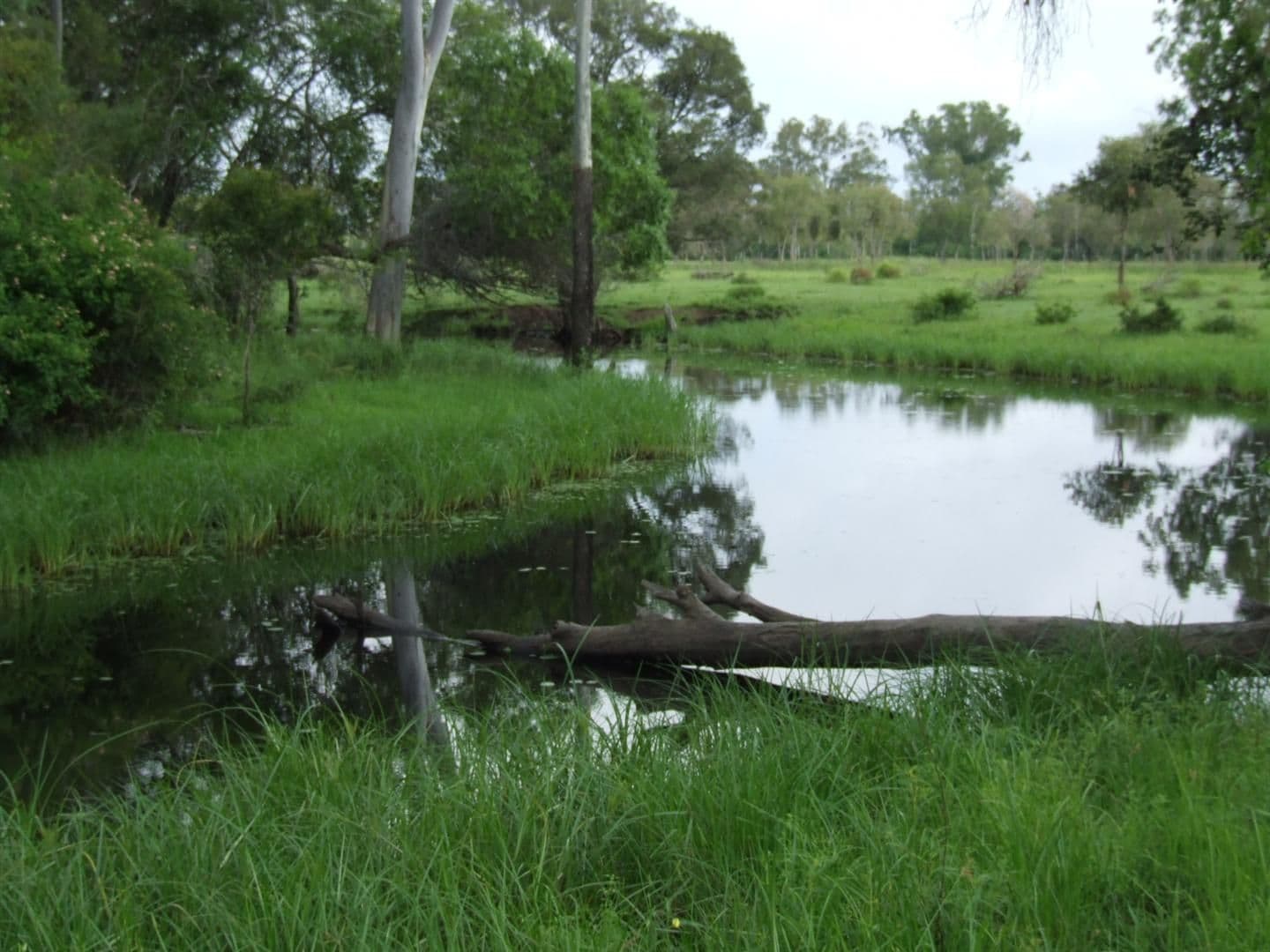 24 "Graceville" Andy Road, MORINISH QLD 4702, Morinish - Thumbnail 2