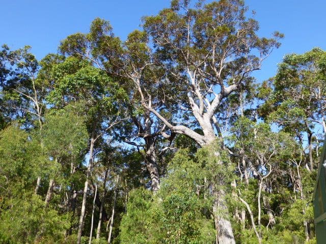 DENMARK WA 6333, Denmark - Thumbnail 3