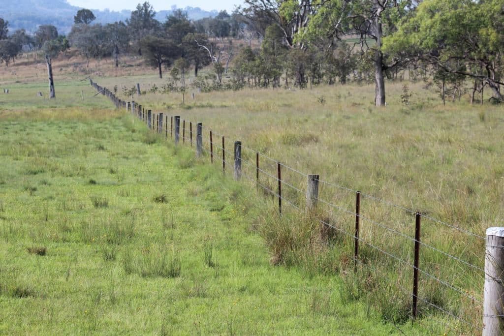 Lot 622 Sunnyside Loop Road, TENTERFIELD NSW 2372, Tenterfield - Thumbnail 5