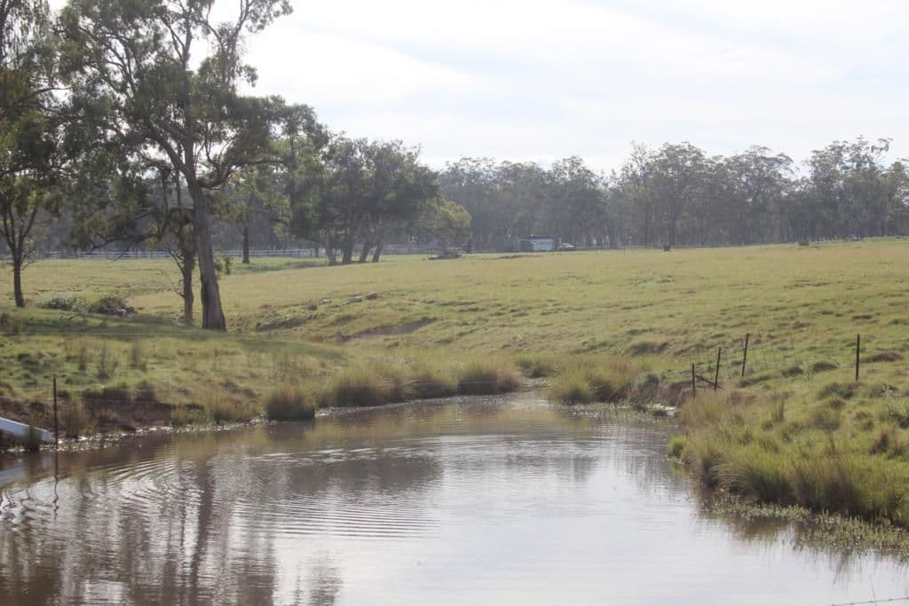 Lot 622 Sunnyside Loop Road, TENTERFIELD NSW 2372, Tenterfield - Thumbnail 6