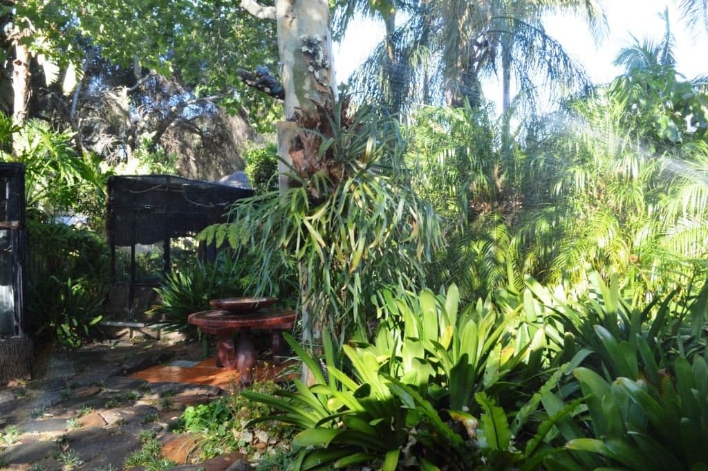 19 Saywell Crescent, SALISBURY NORTH SA 5108, Salisbury North - Thumbnail 3