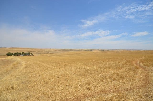 2 Lots RM Williams Highway, Andrews via, SPALDING SA 5454, Spalding - Thumbnail 6