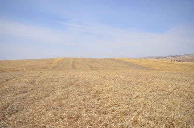 2 Lots RM Williams Highway, Andrews via, SPALDING SA 5454, Spalding - Thumbnail 7