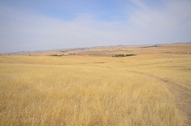 2 Lots RM Williams Highway, Andrews via, SPALDING SA 5454, Spalding - Thumbnail 5