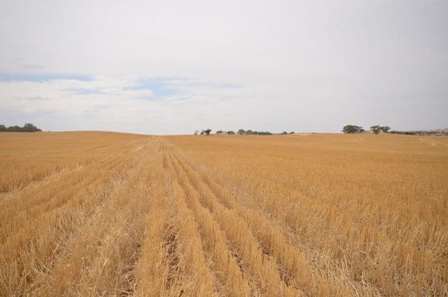 2 Lots Old Anlaby Road, ALLENDALE NORTH SA 5373, Allendale North - Image 1