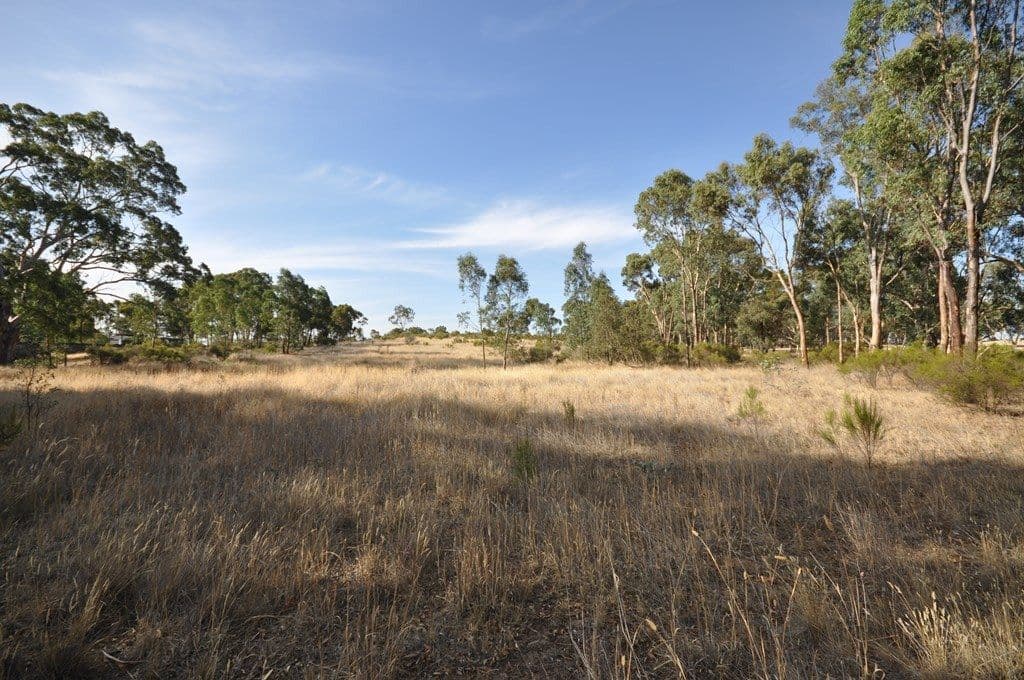 4895 Ballarat-Maryborough Road, TALBOT  Victoria  3371, Australia, Talbot - Image 1