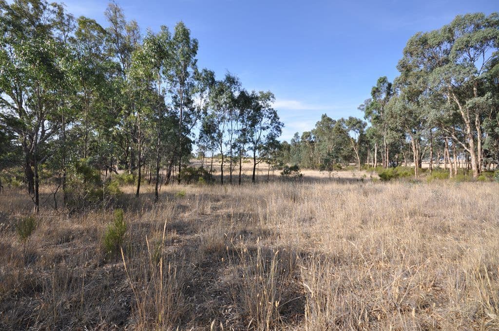 4895 Ballarat-Maryborough Road, TALBOT  Victoria  3371, Australia, Talbot - Thumbnail 2