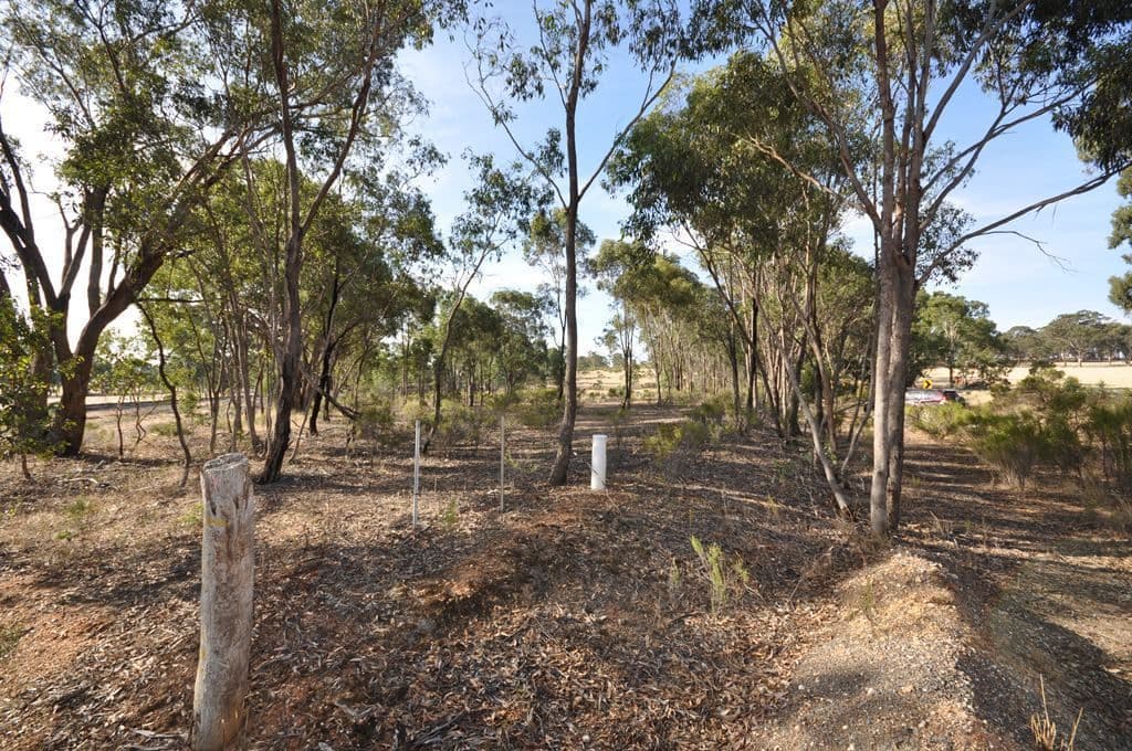 4895 Ballarat-Maryborough Road, TALBOT  Victoria  3371, Australia, Talbot - Thumbnail 3