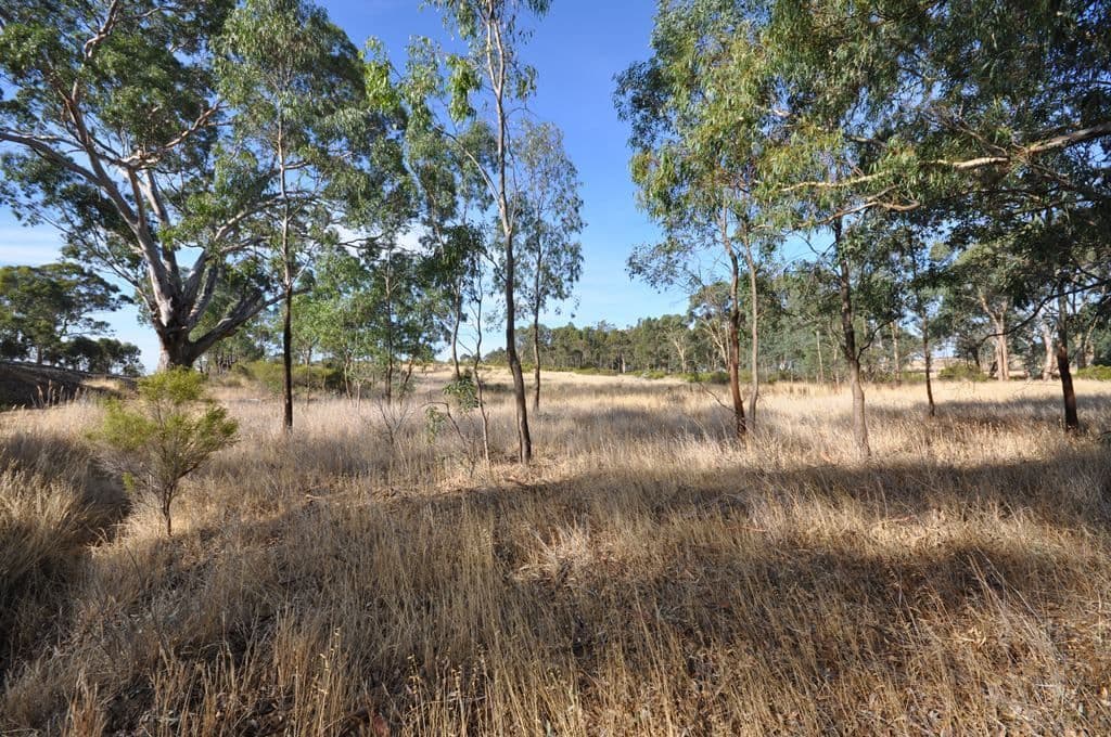 4895 Ballarat-Maryborough Road, TALBOT  Victoria  3371, Australia, Talbot - Thumbnail 4