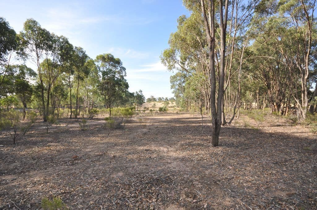 4895 Ballarat-Maryborough Road, TALBOT  Victoria  3371, Australia, Talbot - Thumbnail 5