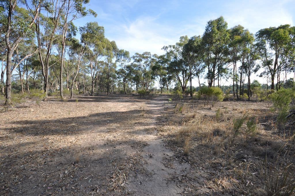 4895 Ballarat-Maryborough Road, TALBOT  Victoria  3371, Australia, Talbot - Thumbnail 6