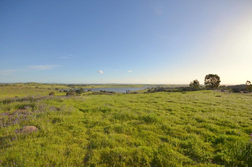 CA's 2C and 2D Whitlocks Road, MALDON VIC 3463, Maldon - Thumbnail 2