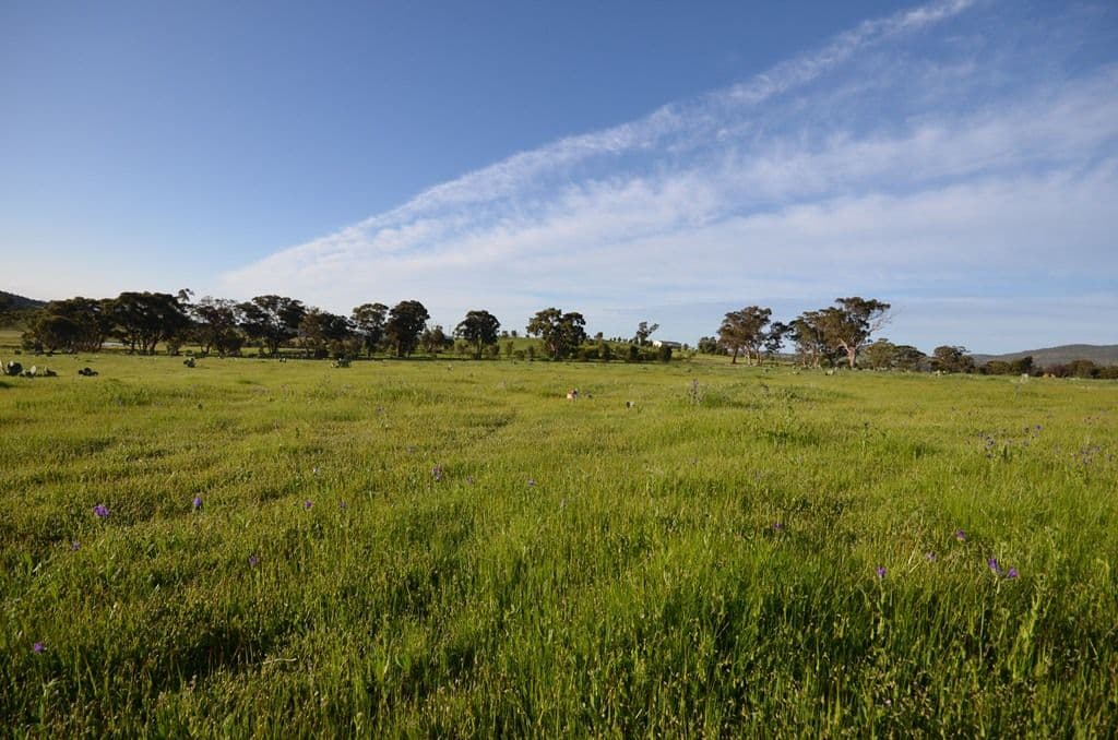 CA's 2C and 2D Whitlocks Road, MALDON VIC 3463, Maldon - Thumbnail 3