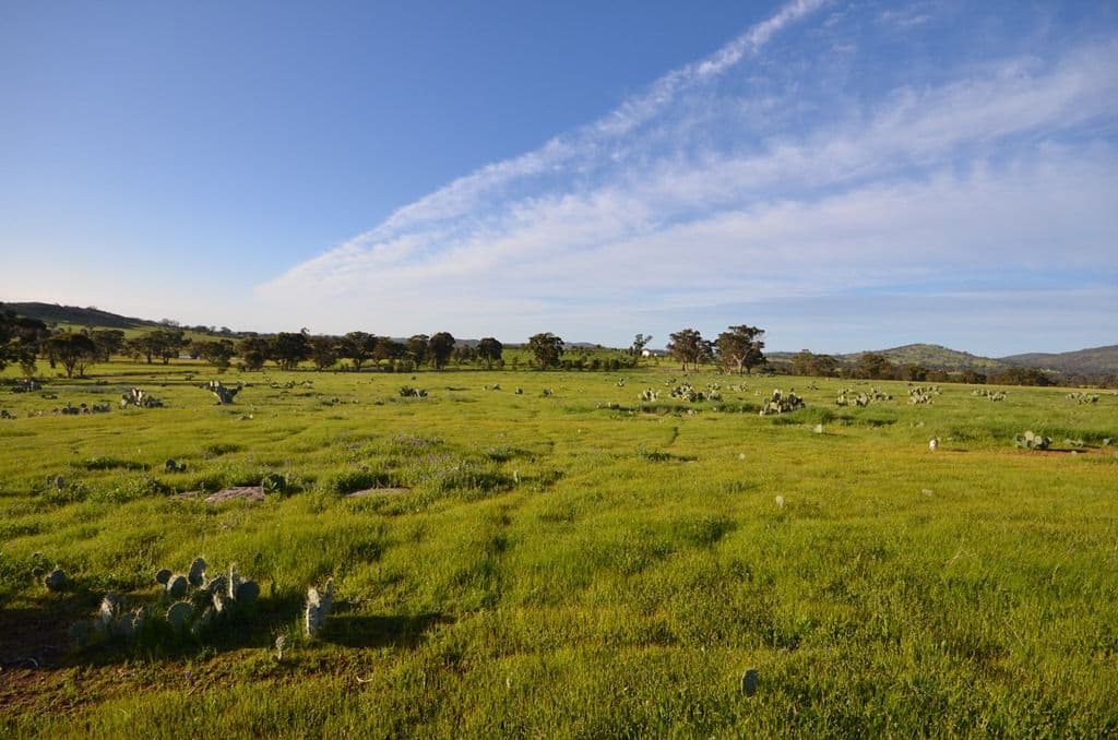 CA's 2C and 2D Whitlocks Road, MALDON VIC 3463, Maldon - Thumbnail 4