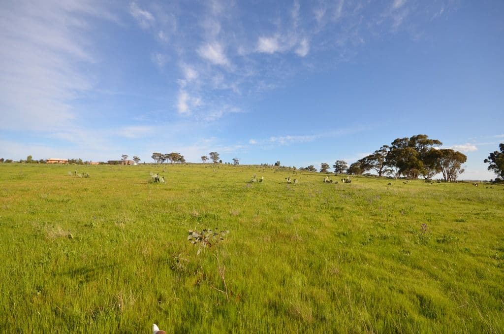 CA's 2C and 2D Whitlocks Road, MALDON VIC 3463, Maldon - Thumbnail 6