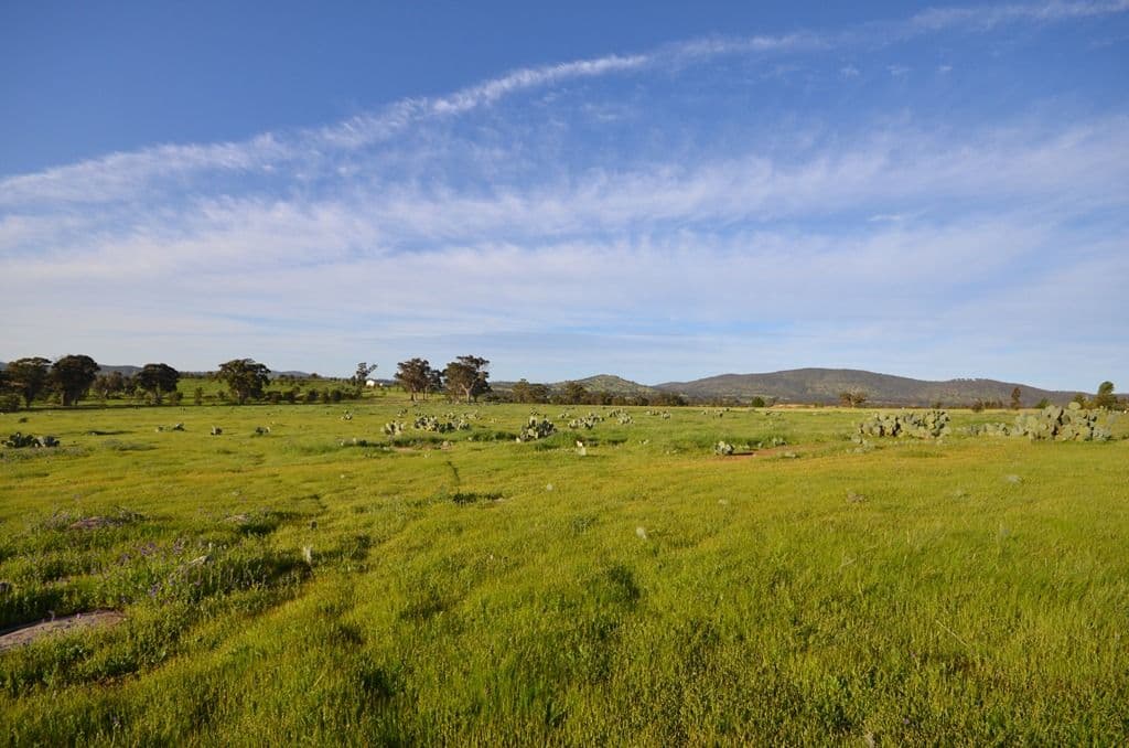 CA's 2C and 2D Whitlocks Road, MALDON VIC 3463, Maldon - Thumbnail 8