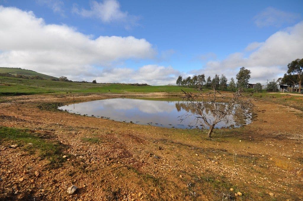 1745 McCallums Creek Road, MOUNT GLASGOW VIC 3371, Mount Glasgow - Thumbnail 4