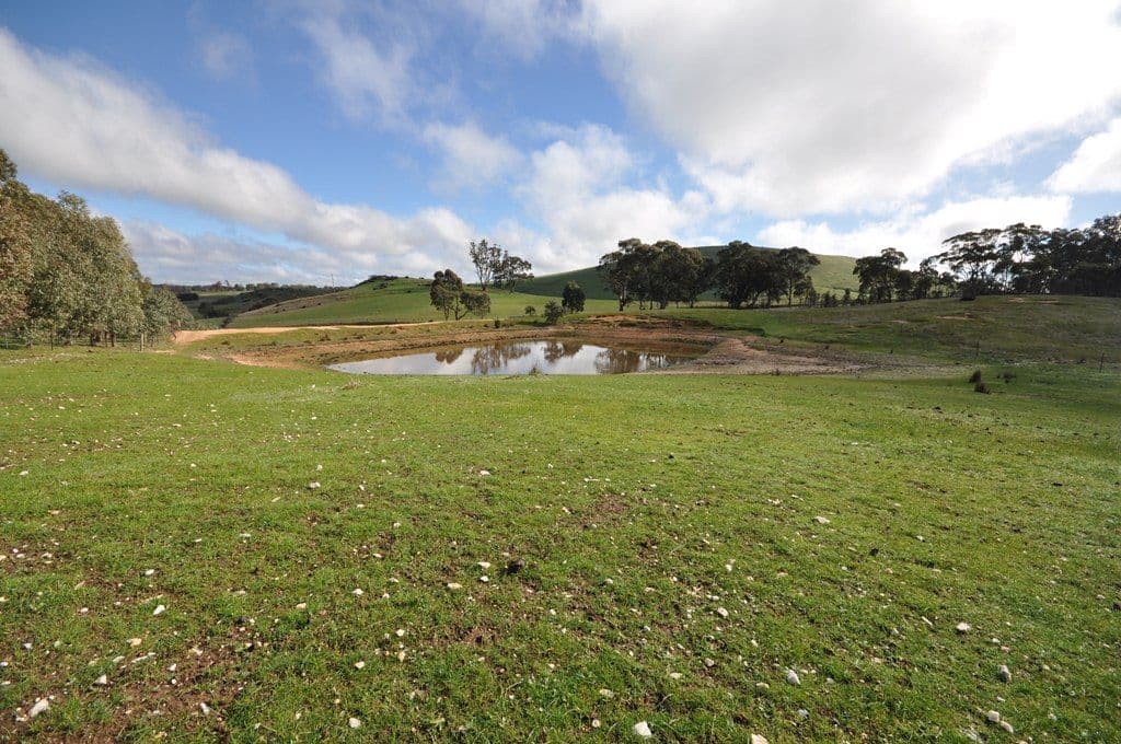 1745 McCallums Creek Road, MOUNT GLASGOW VIC 3371, Mount Glasgow - Thumbnail 5