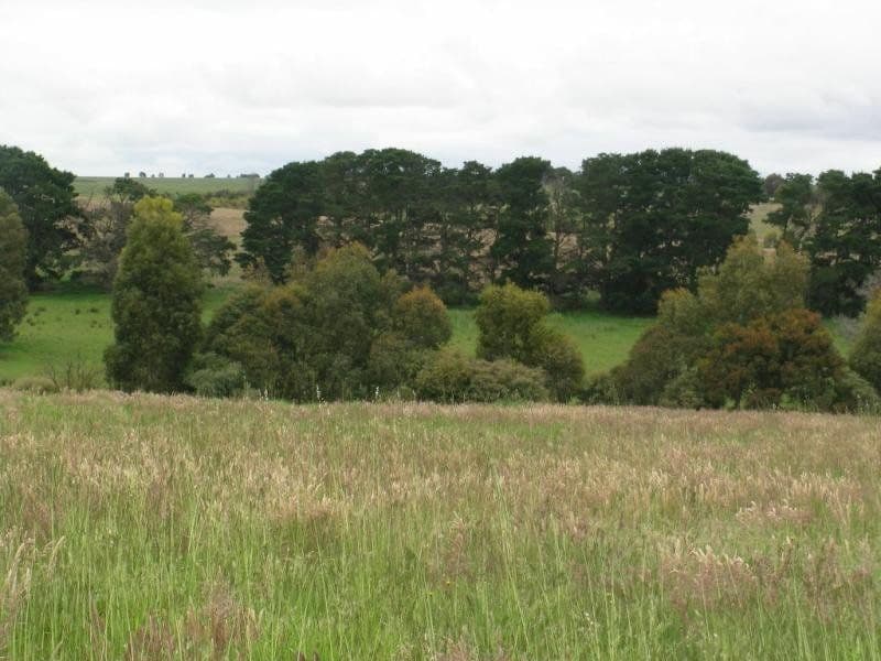 30-32 Gray Street, LISMORE VIC 3324, Lismore - Thumbnail 3