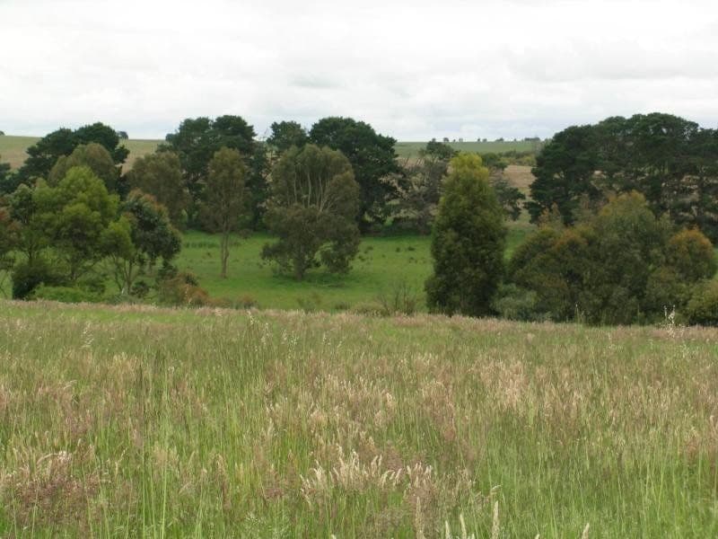 30-32 Gray Street, LISMORE VIC 3324, Lismore - Thumbnail 4