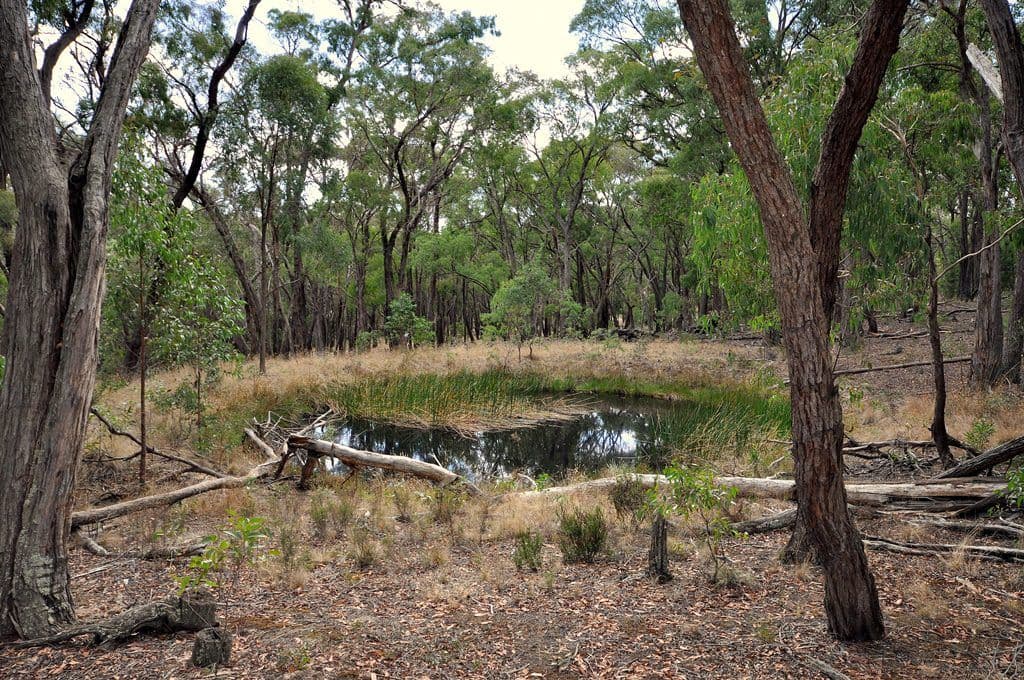 Lot 44 Eaglehawk Road, LAL LAL  Victoria  3352, Australia, Lal Lal - Image 1