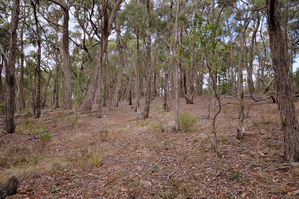 Lot 44 Eaglehawk Road, LAL LAL  Victoria  3352, Australia, Lal Lal - Thumbnail 4