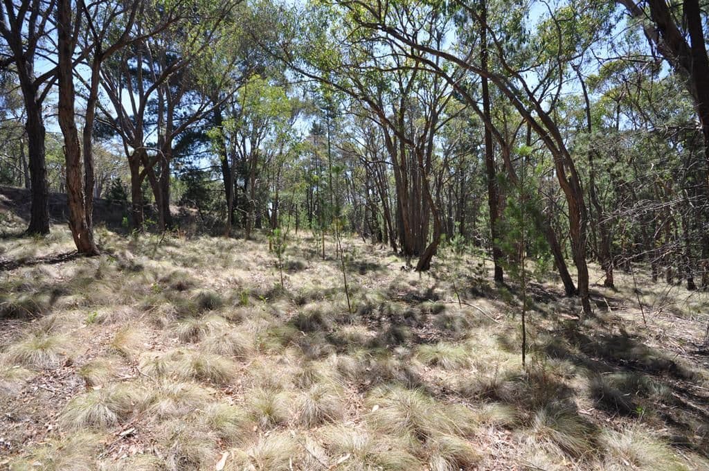 Lot 1 Glenelg Highway, LINTON  Victoria  3360, Australia, Linton - Image 1