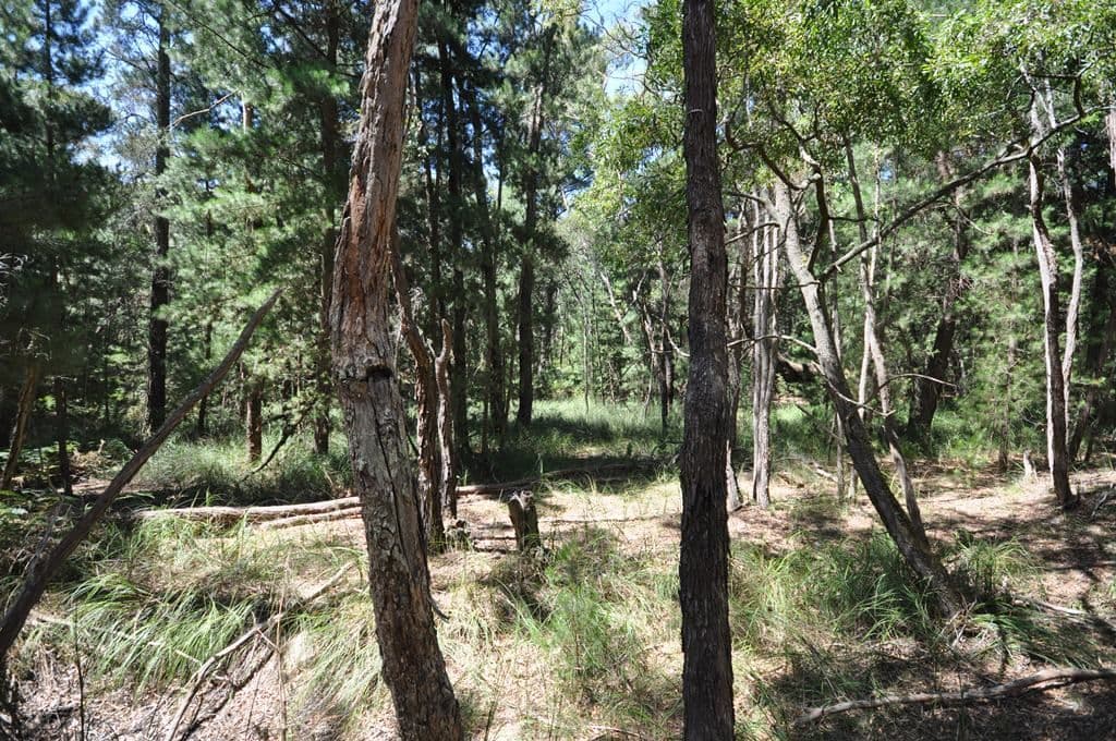 Lot 1 Glenelg Highway, LINTON  Victoria  3360, Australia, Linton - Thumbnail 4