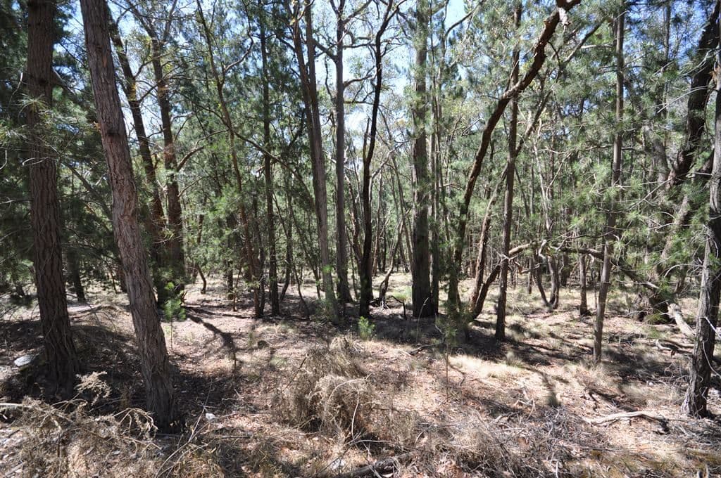 Lot 1 Glenelg Highway, LINTON  Victoria  3360, Australia, Linton - Thumbnail 5