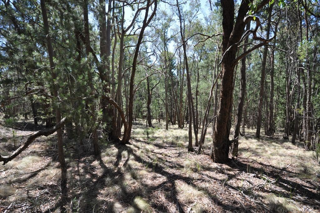 Lot 1 Glenelg Highway, LINTON  Victoria  3360, Australia, Linton - Thumbnail 6