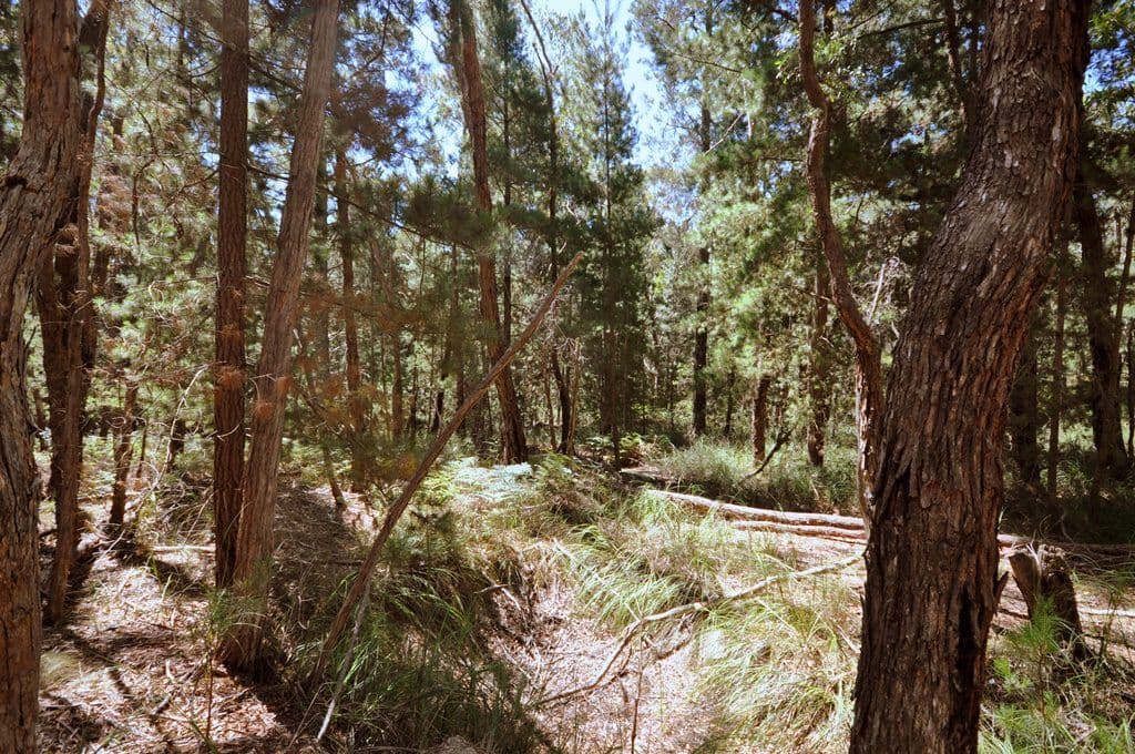Lot 1 Glenelg Highway, LINTON  Victoria  3360, Australia, Linton - Thumbnail 2