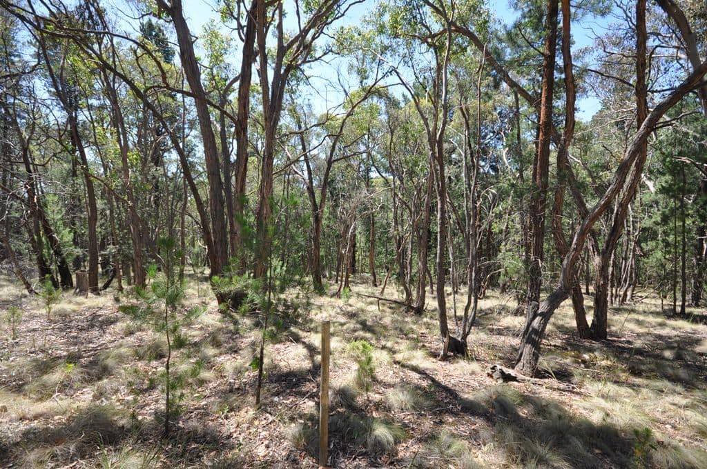 Lot 1 Glenelg Highway, LINTON  Victoria  3360, Australia, Linton - Thumbnail 3
