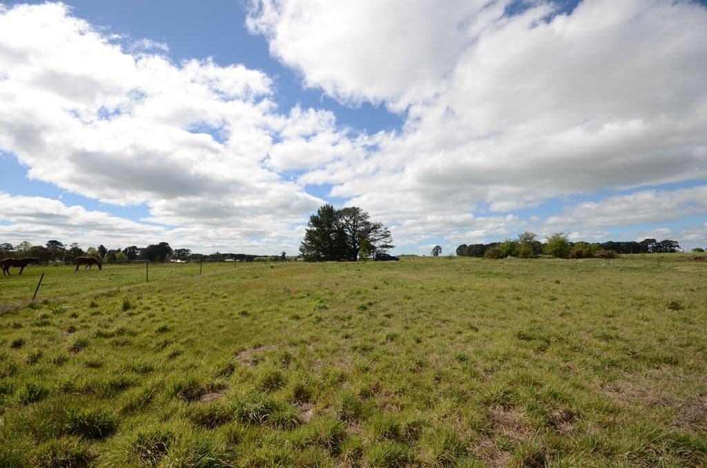 CA 12 Murray Street, Snake Valley VIC 3351, Snake Valley - Thumbnail 3