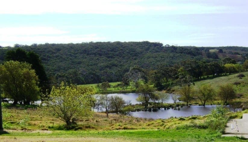 737 Blackfellows Creek Road, KUITPO SA 5172, Kuitpo - Thumbnail 3