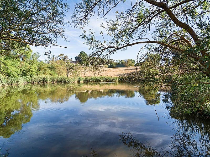 737 Blackfellows Creek Road, KUITPO SA 5172, Kuitpo - Thumbnail 5