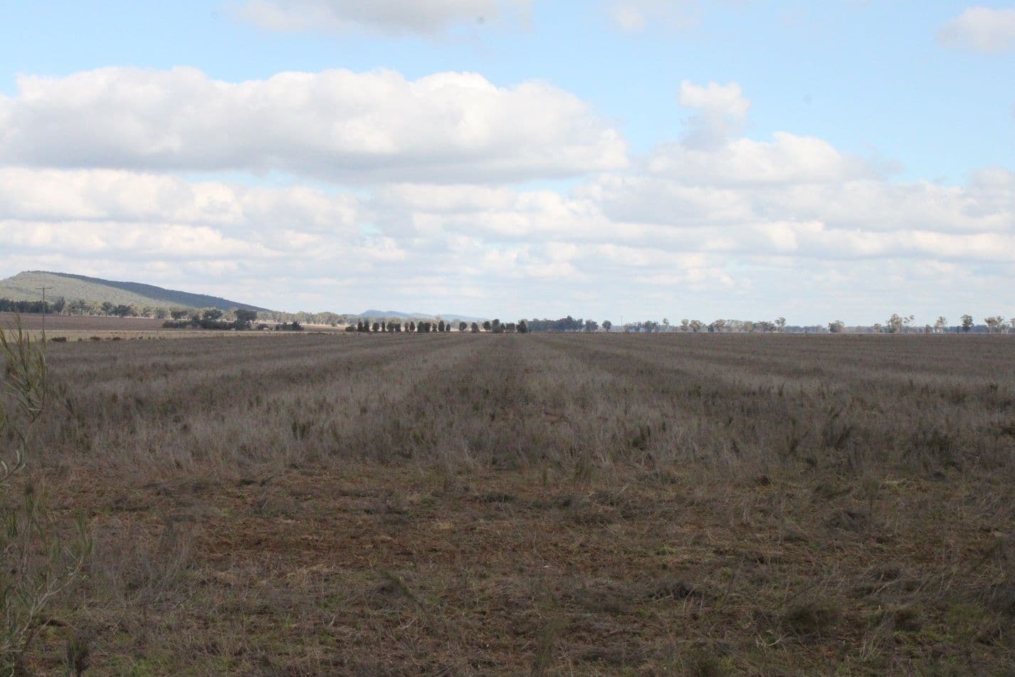 52 Woodlawn Lane, FORBES NSW 2871, Forbes - Thumbnail 8