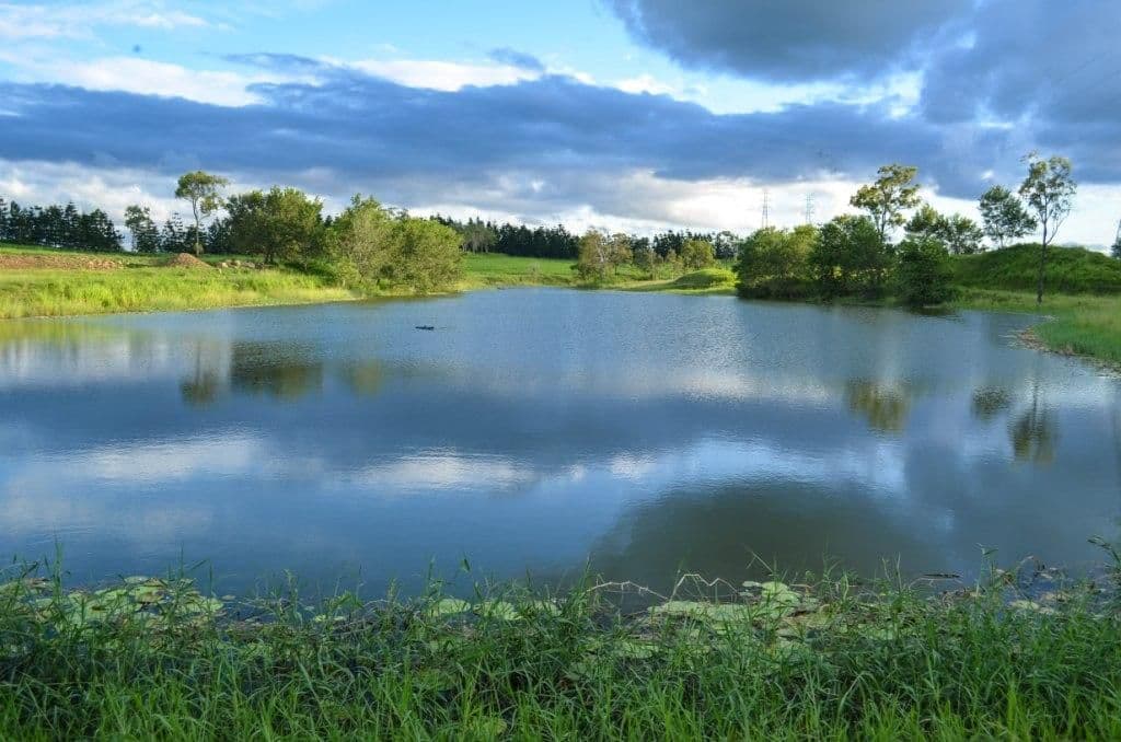 Harwin Park, MACKAY QLD 4740, Mackay - Thumbnail 3
