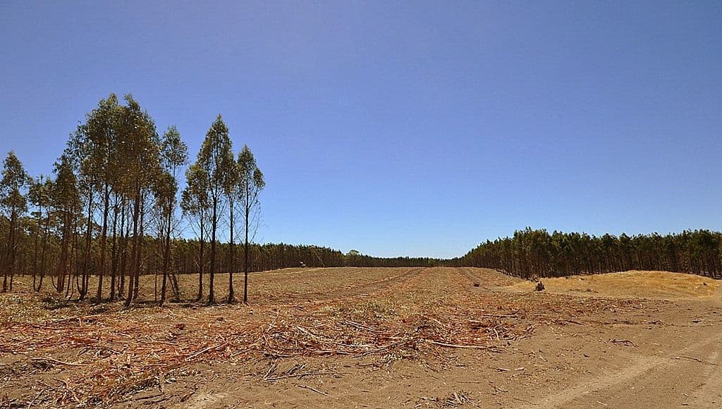 Lot 2 Jones Road, WATERLOO VIC 3373, Waterloo - Image 1